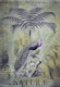 Peacock Jungle King 2