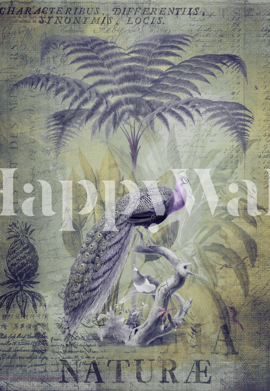 Peacock Jungle King Tapete in einem Raum