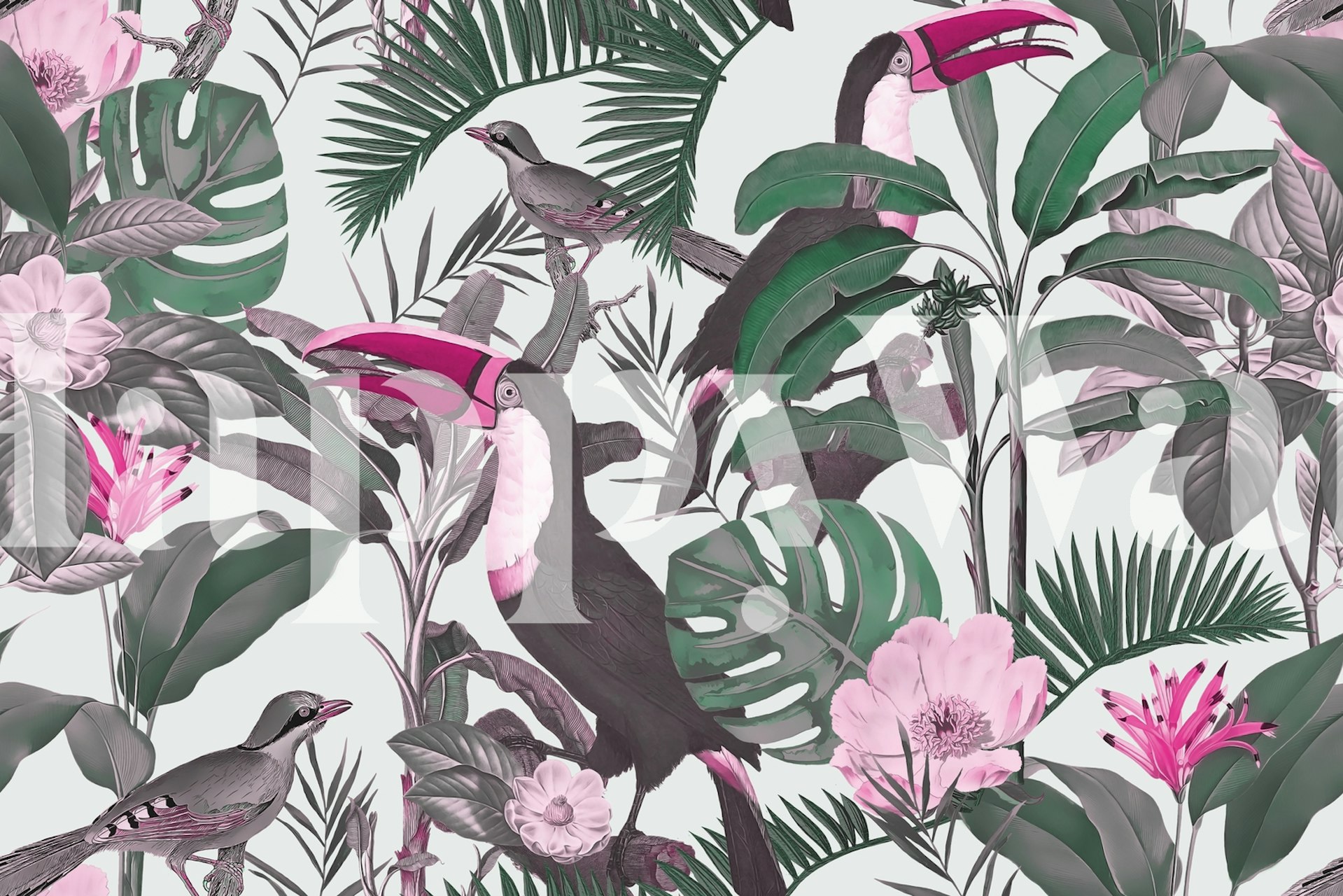Toucans and tropical leaves in pink and green wallpaper