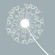 Mint White Dandelion