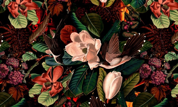 Floral and Birds XIV