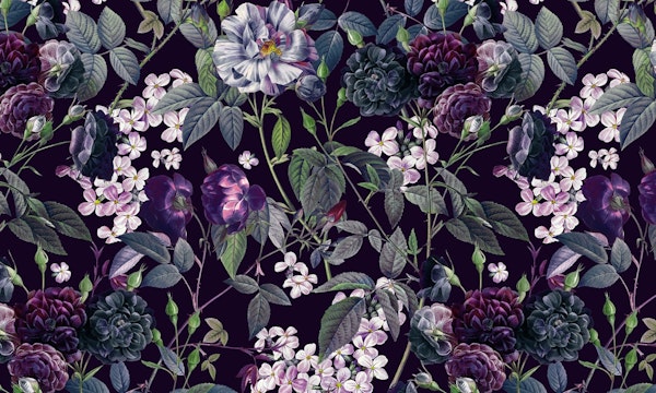 Rose Garden - Night II