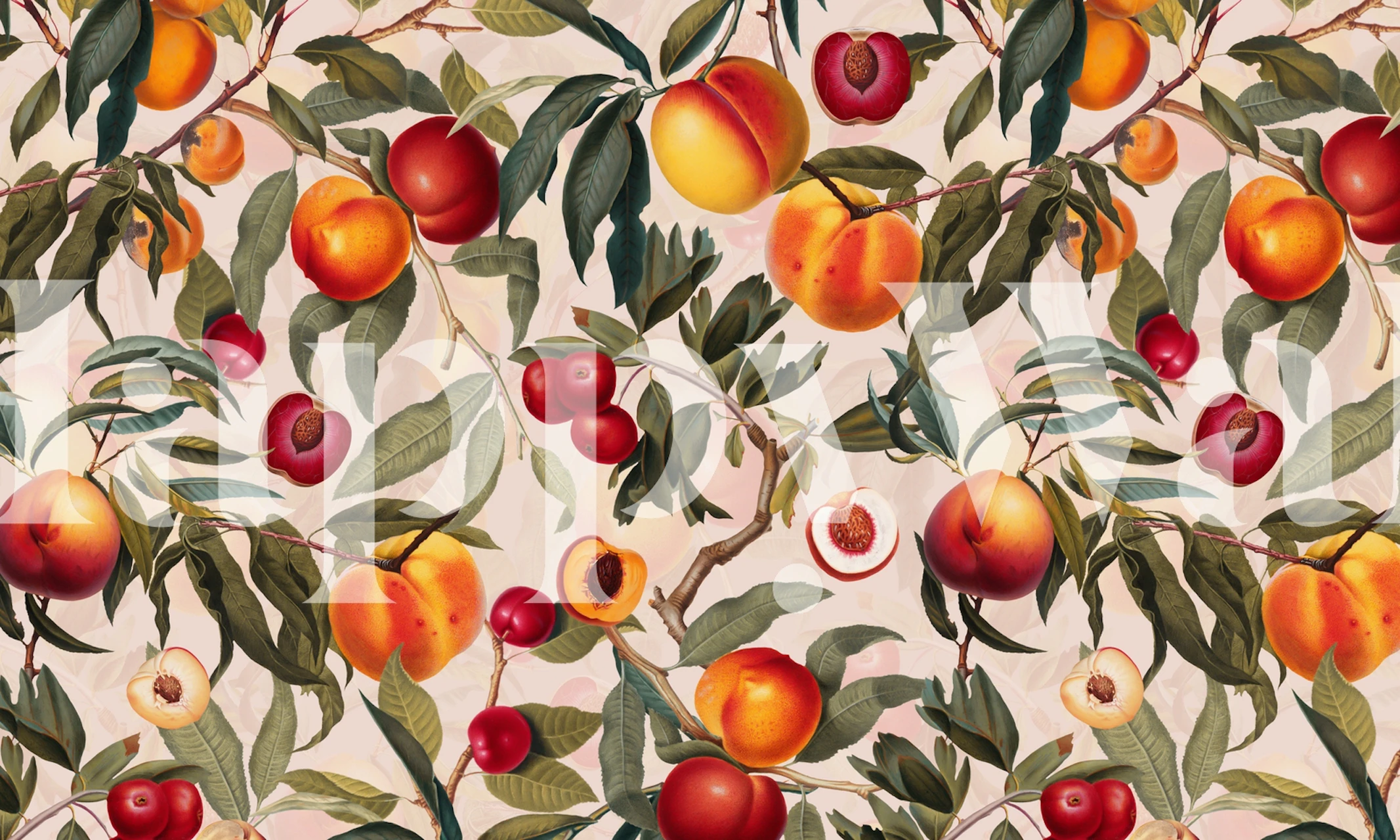 Fruit branches with peaches and cherries on light background wallpaper