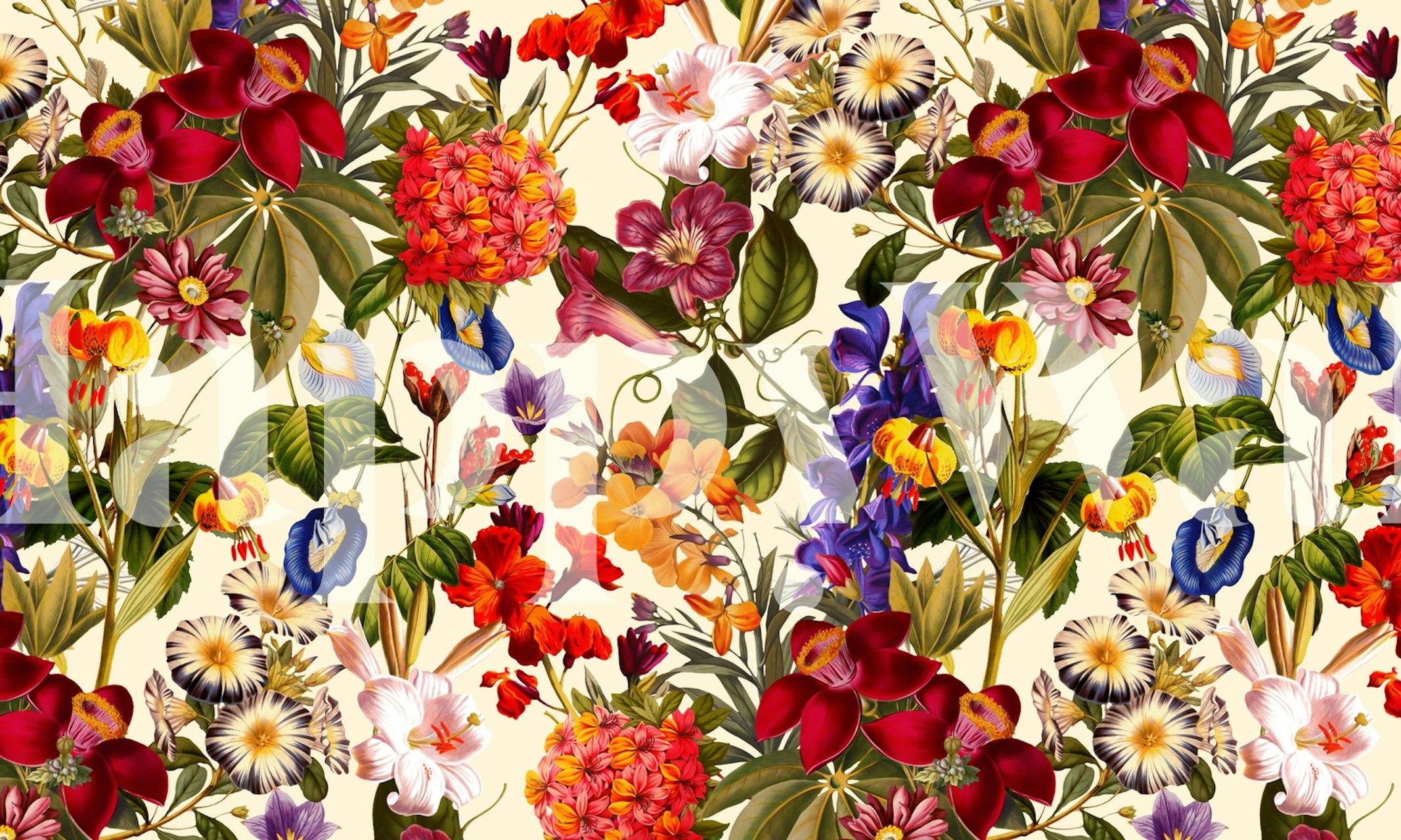 Design floral coloré