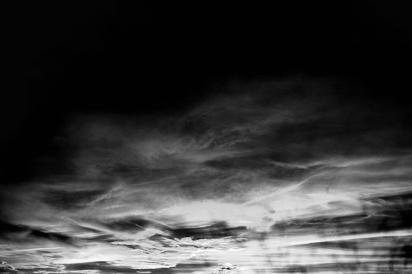 Black White Touching 1