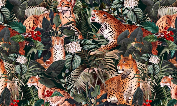 Dangers in the Forest XIII