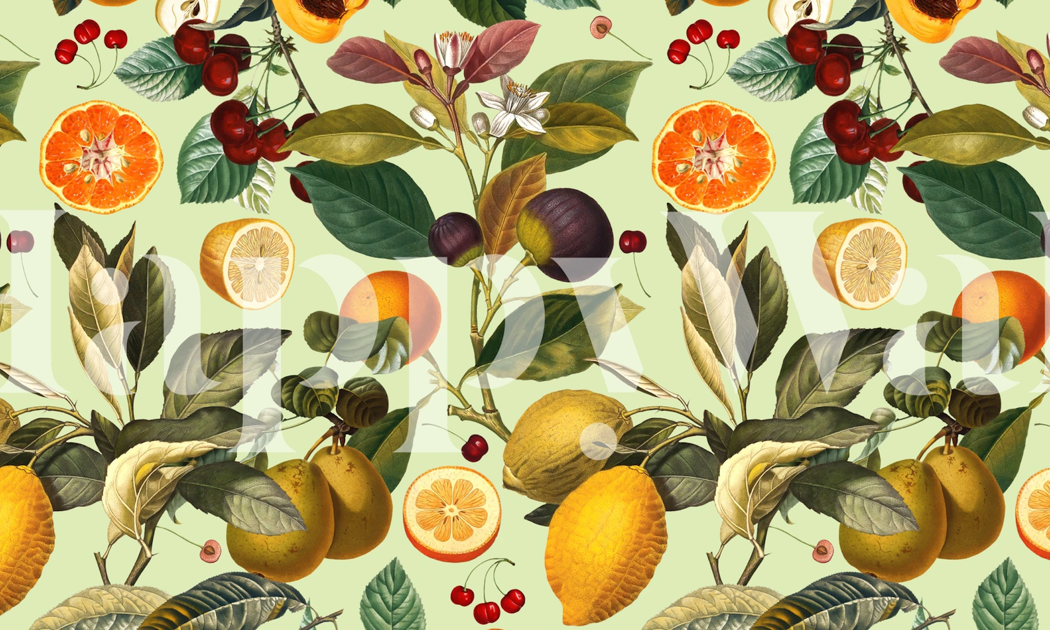 Vintage fruit pattern wallpaper with oranges, lemons, cherries, and green leaves