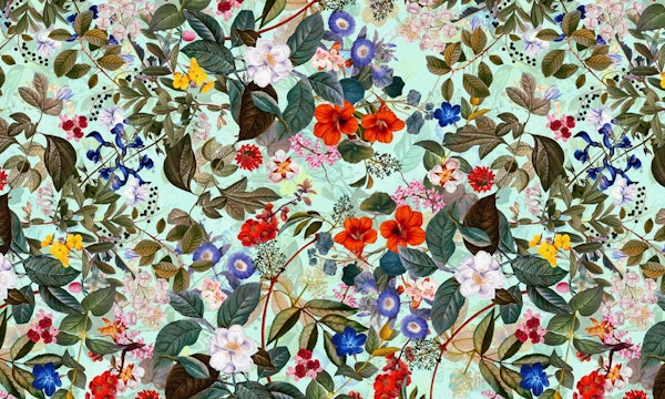 Summer Botanical Garden XVI