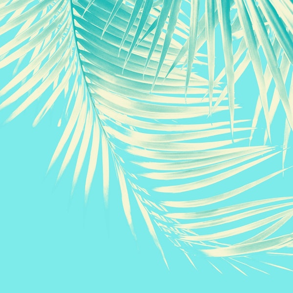 Palm Leaves Summer Vibes 4