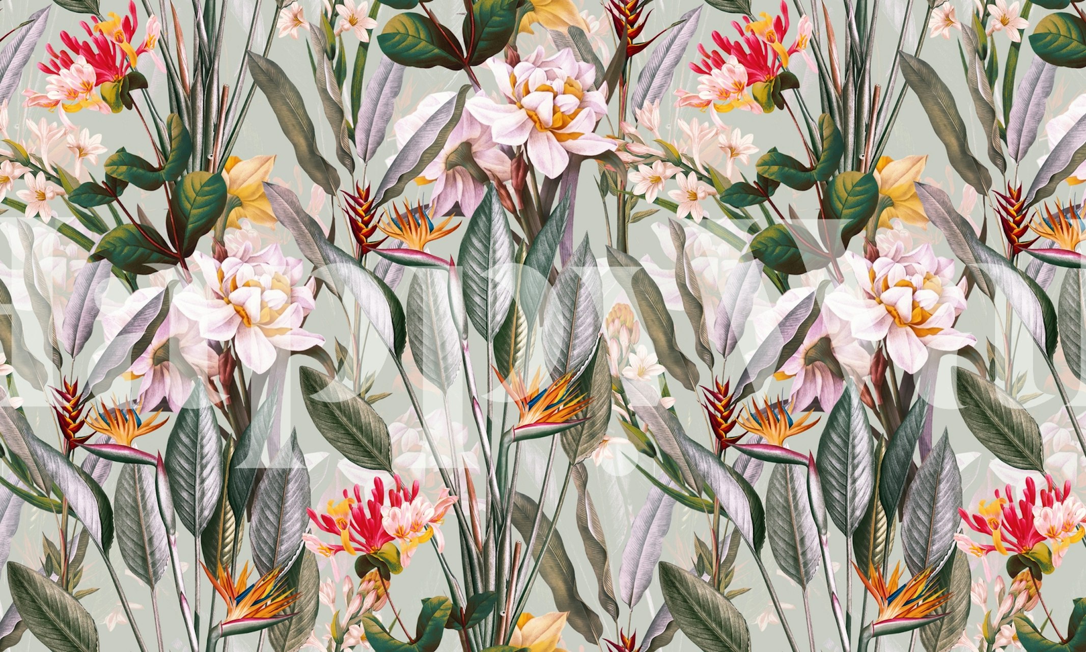 Magical Garden XIV floral wallpaper in a room