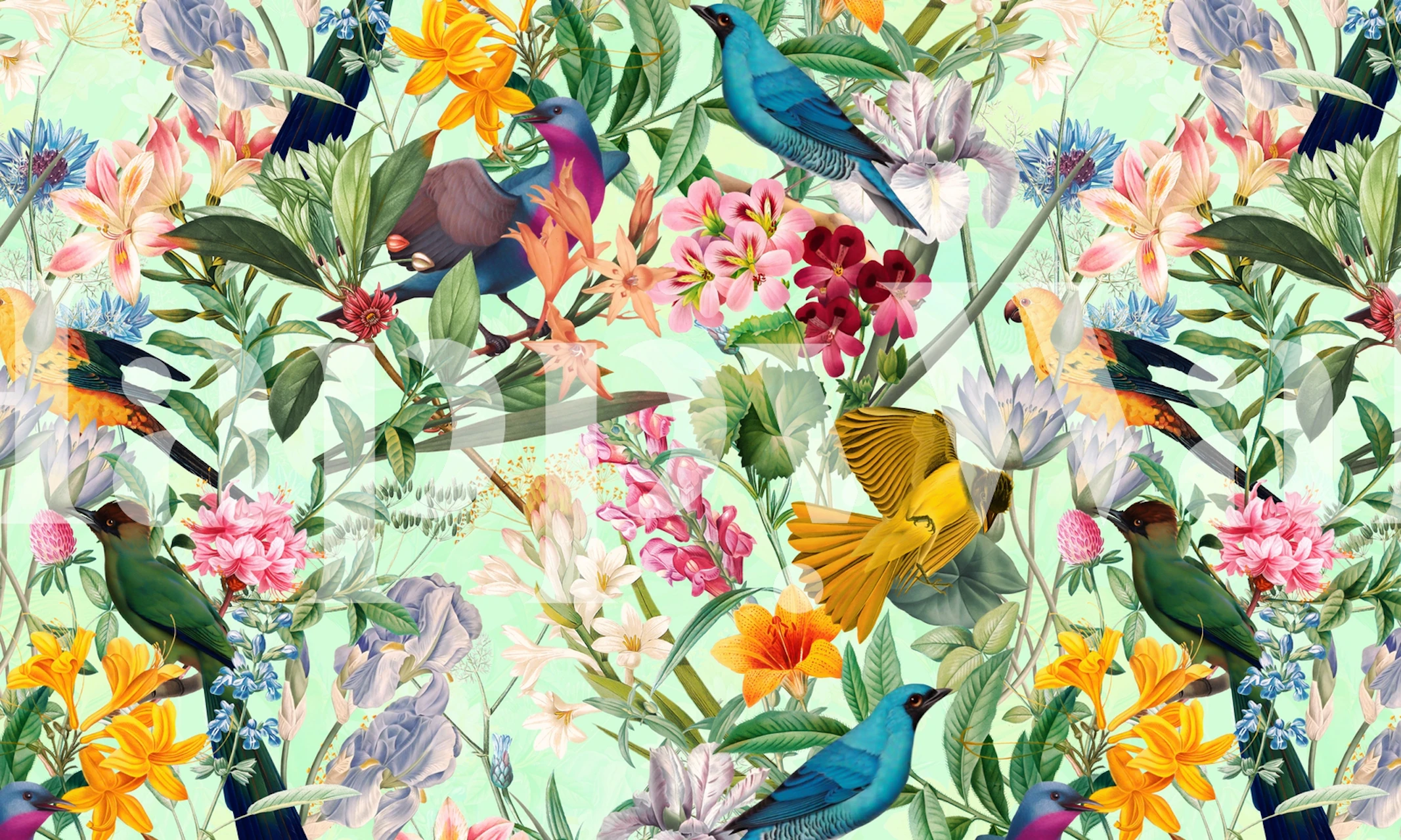 Tropical Paradise II tapet med fugler og blomster