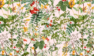 Mural