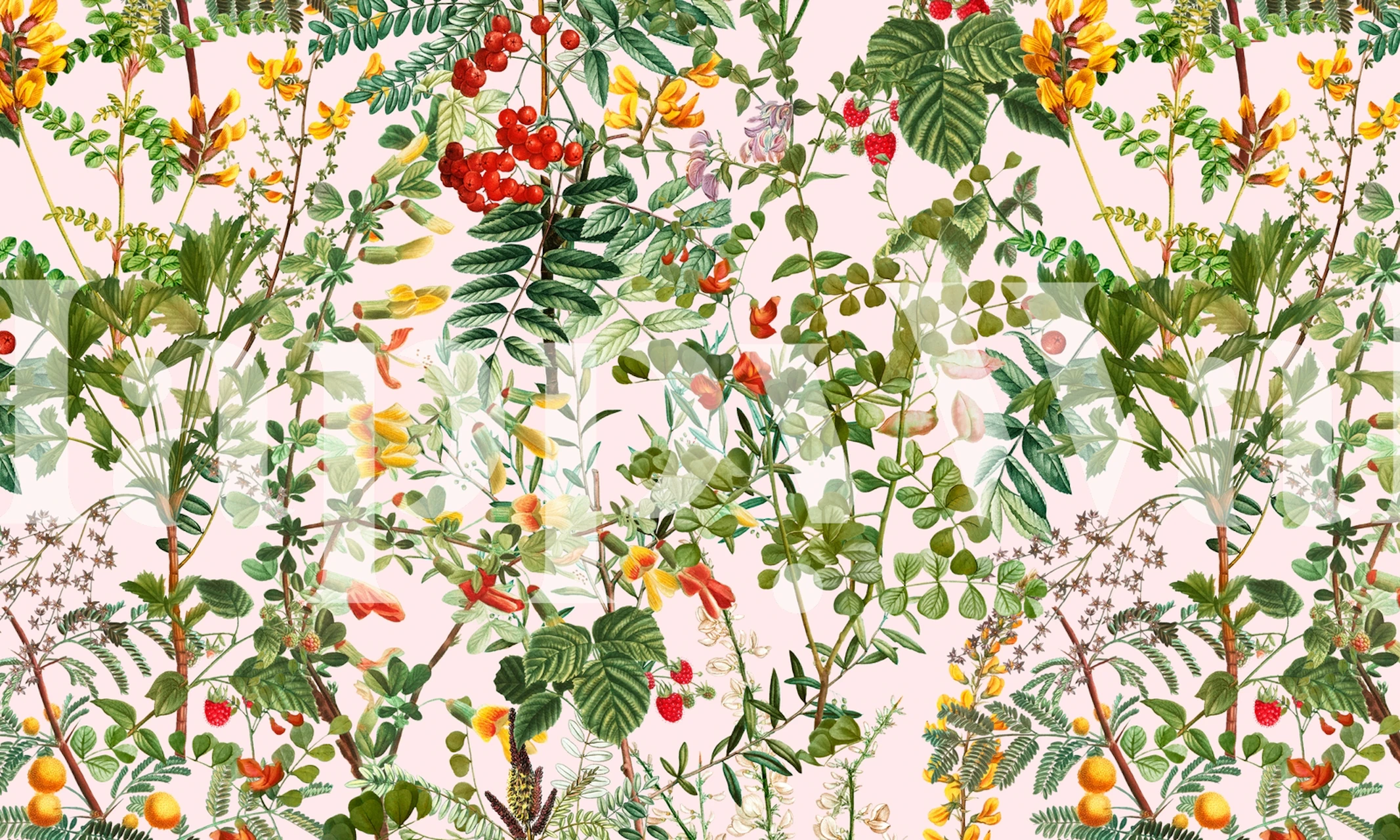 Lush summer meadow-inspired wall mural with a variety of flowers and greenery