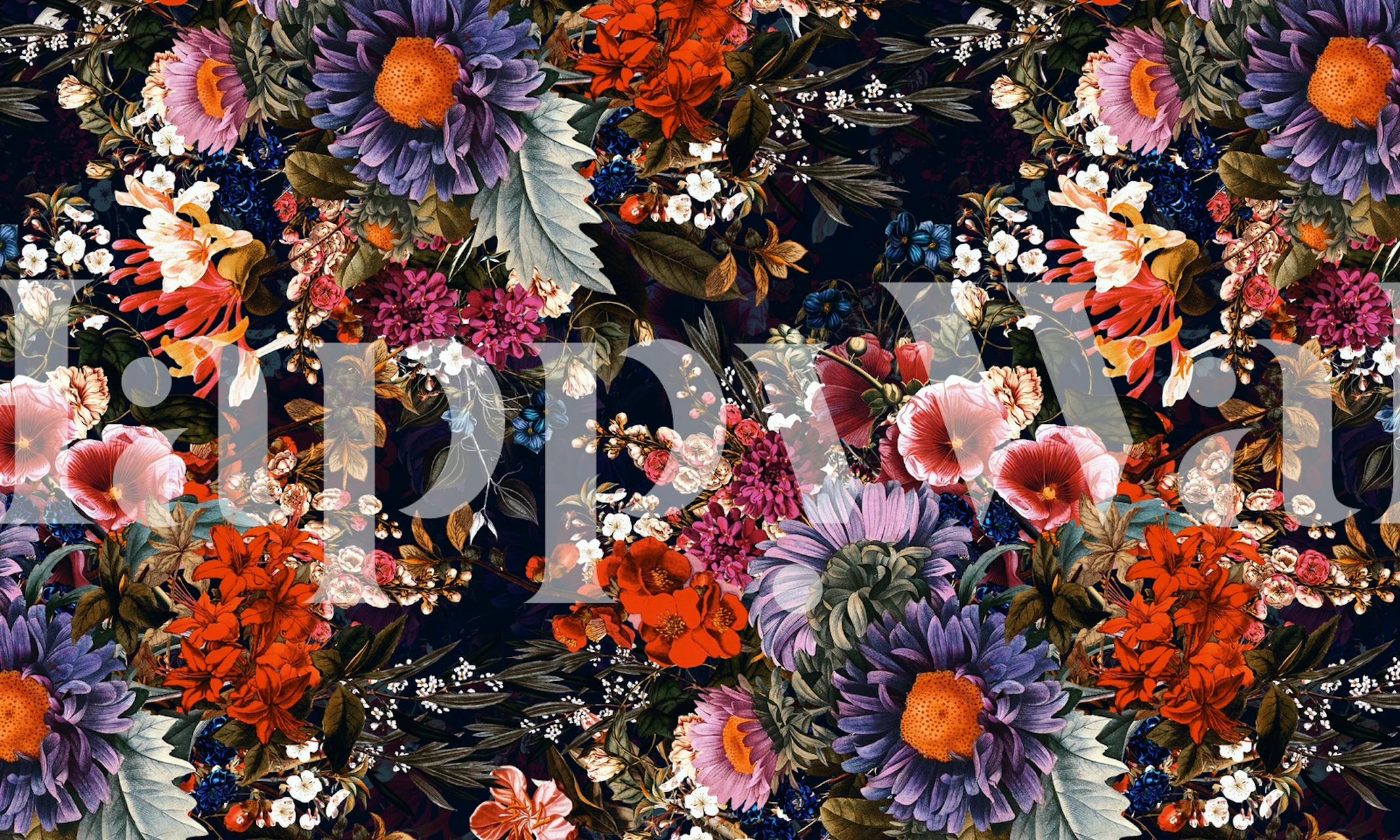 Vibrant colorful flowers on dark background wall mural
