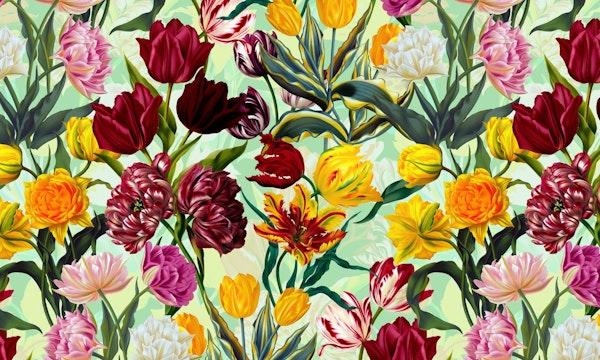 Summer Dreams - Tulips