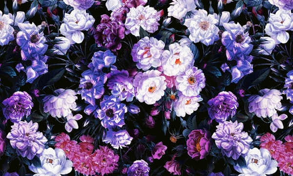 Rose Garden Night III