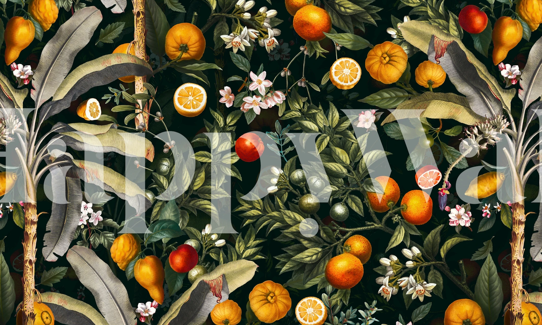 Vintage fruit pattern with oranges, lemons, and floral elements wallpaper