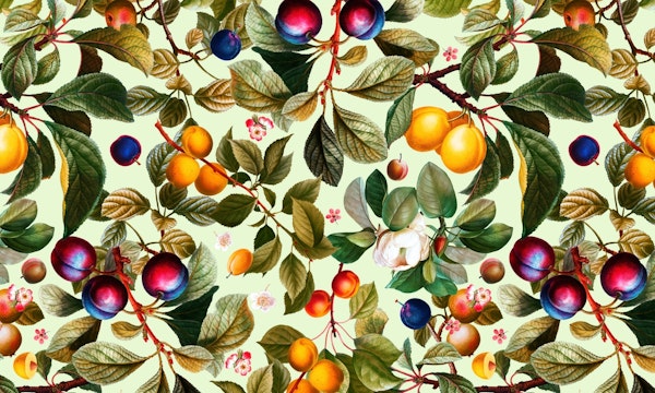 Vintage Fruit Pattern XXI