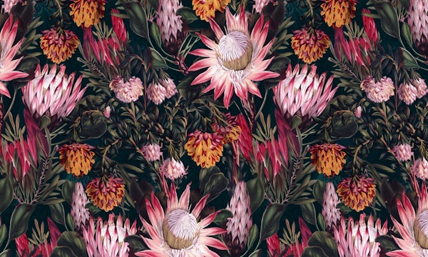 Protea Floral-Night Pattern II
