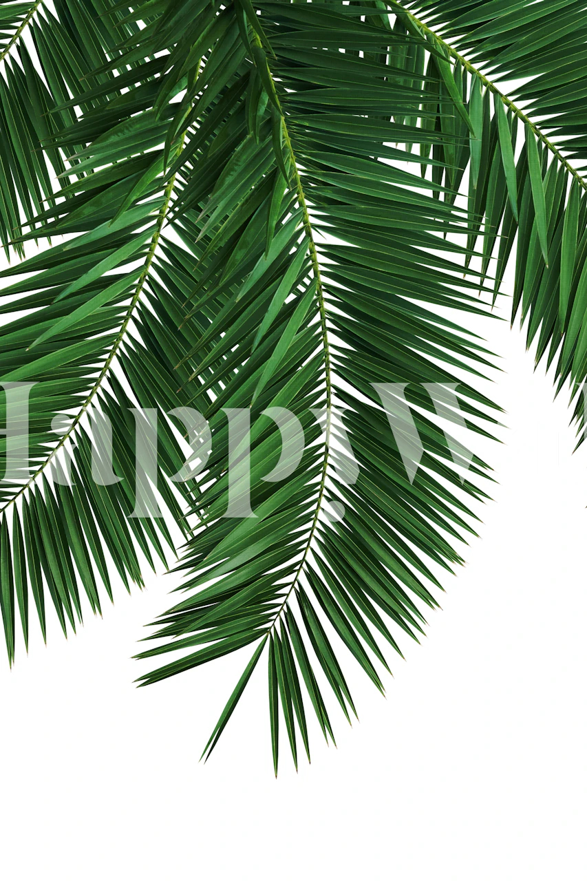 Palm leaves wallpaper design in a room