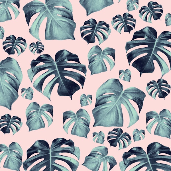 Tropical Monstera Pattern 1a