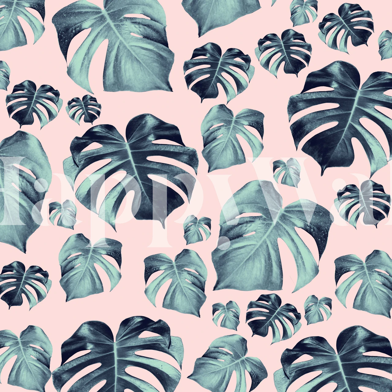 Tropical Monstera wallpaper in displayed room