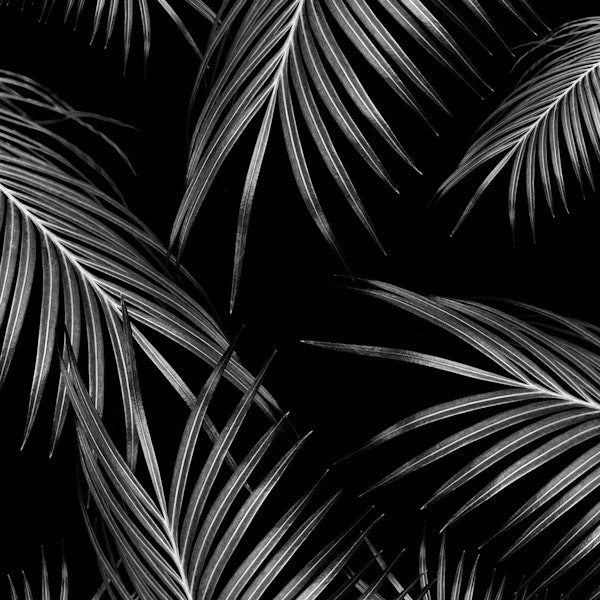 Silver Black Palm Leaves 1