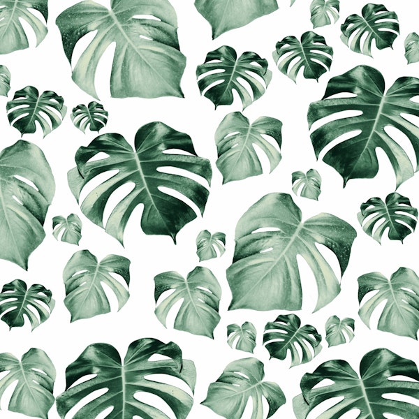 Tropical Monstera Pattern 2b