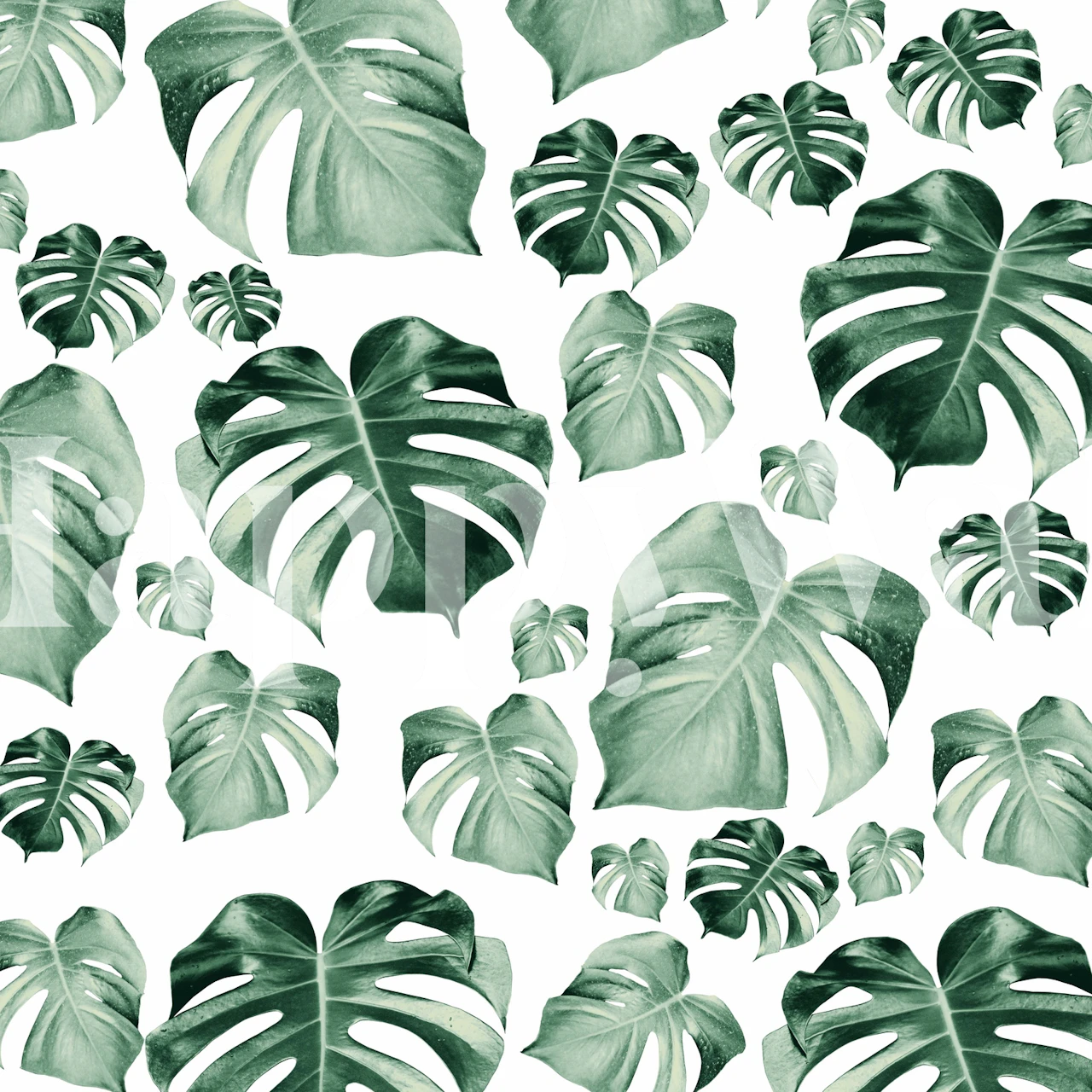 papier peint Tropical Monstera Pattern dans une pièce
