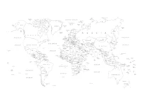 World Map Black Outlines tapete