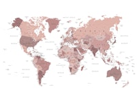 World Map Rose Gold carta da parati