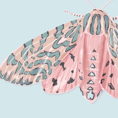 Τοιχογραφία