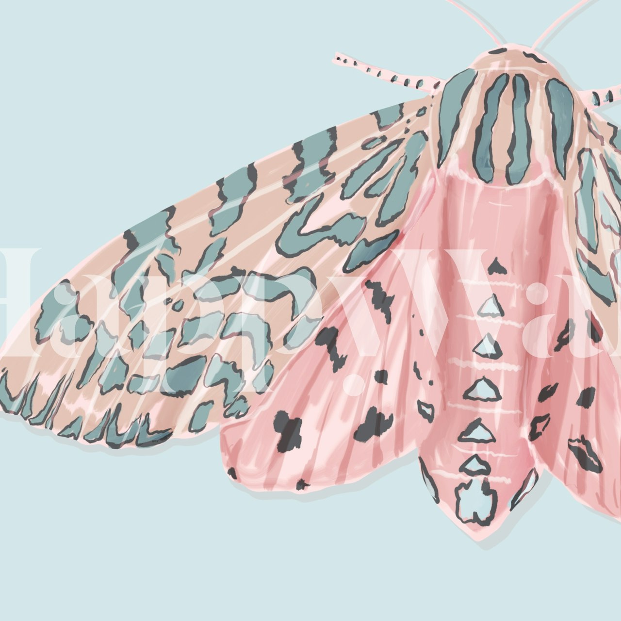 Papel pintado Tiger Moth Square exhibido en una habitación