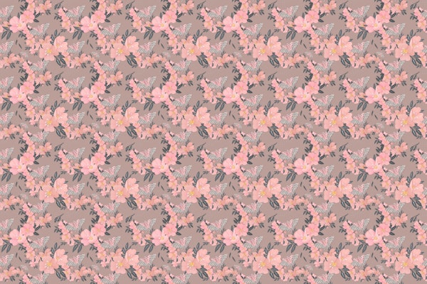 Primrose and Tiger Moths