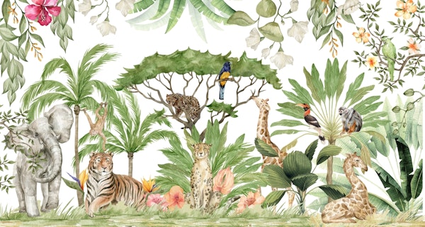 Jungle And Wild Animals