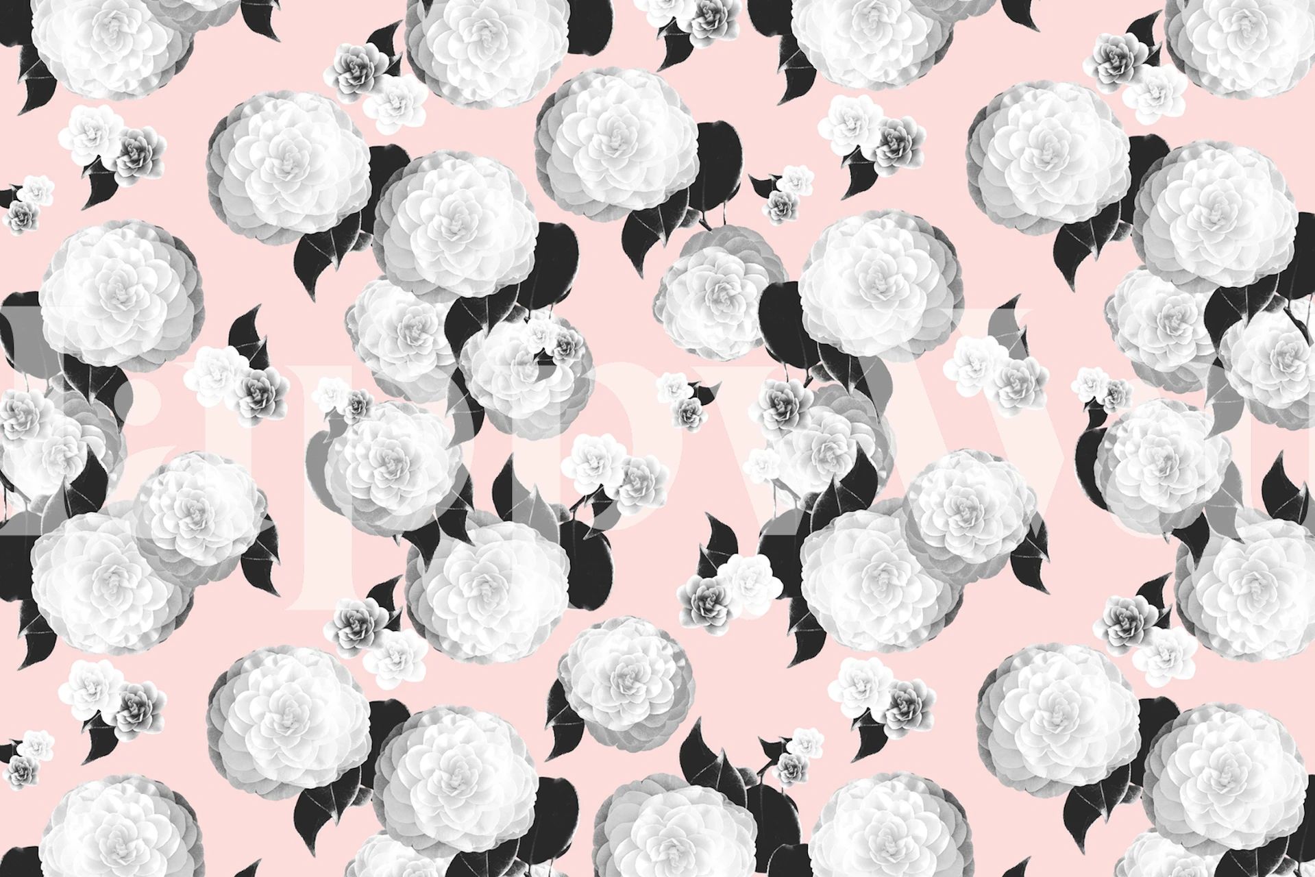 Soft pink wall mural with white spring flowers pattern for interior decor