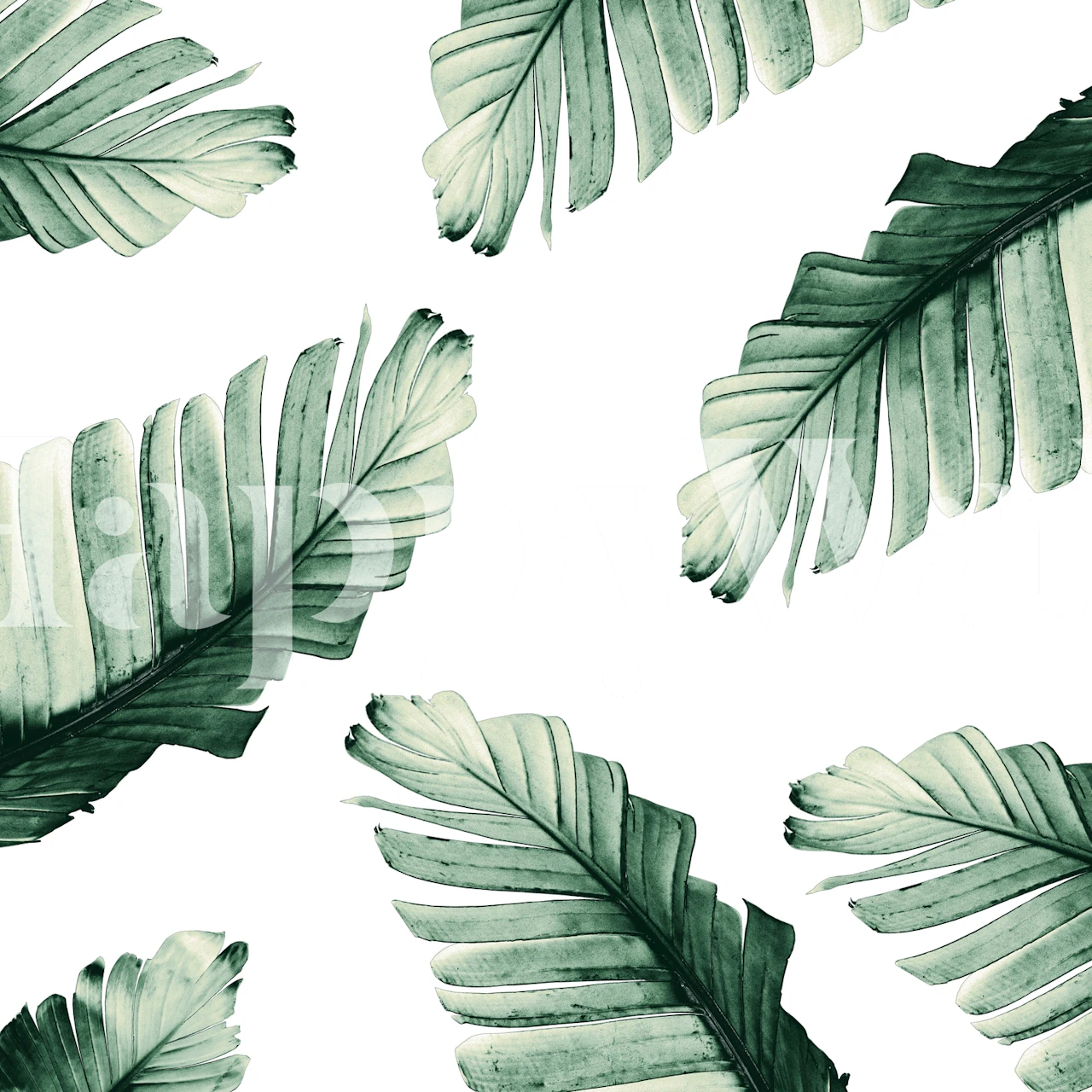 Tropical banana leaves wallpaper in a room