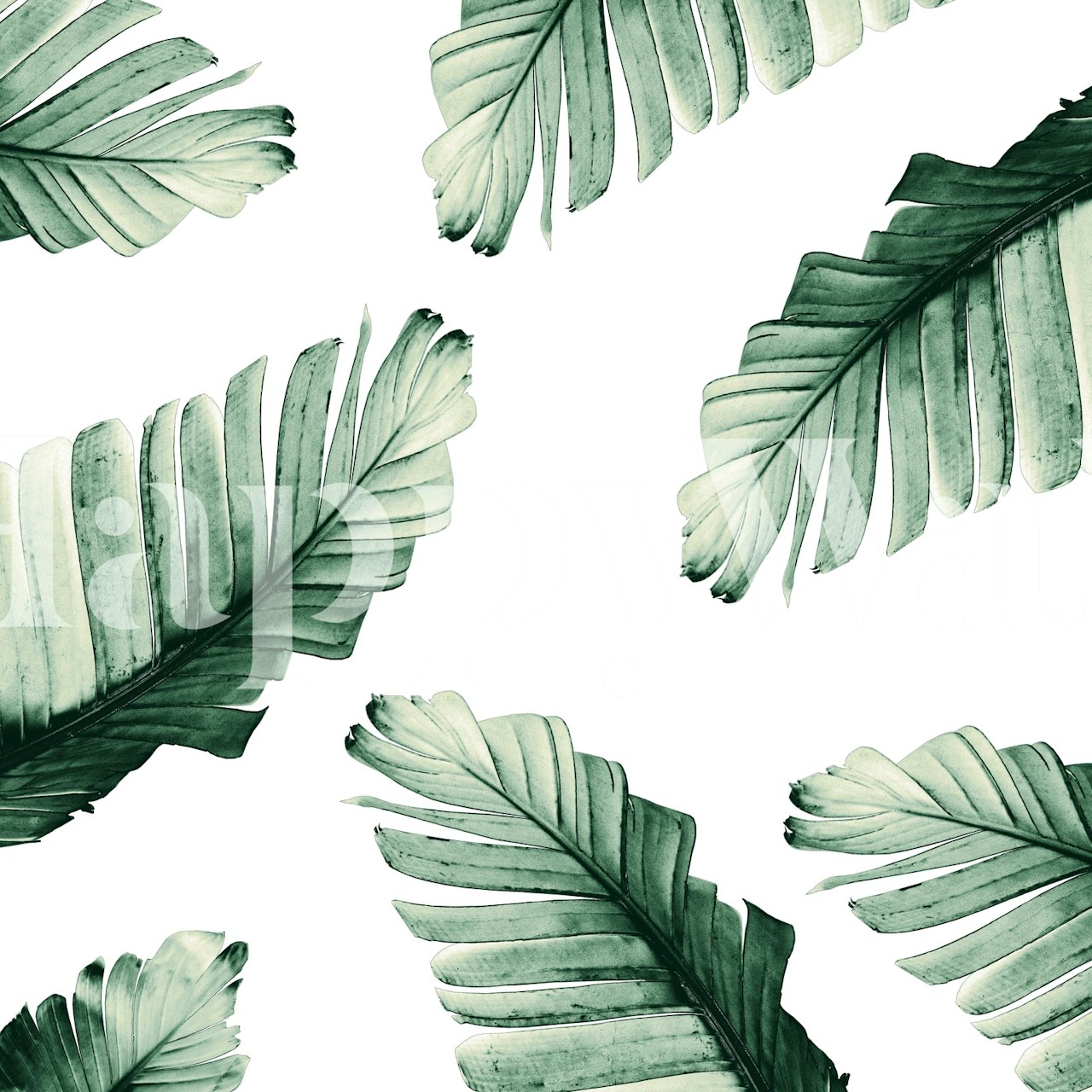 Tropical banana leaves wallpaper in a room