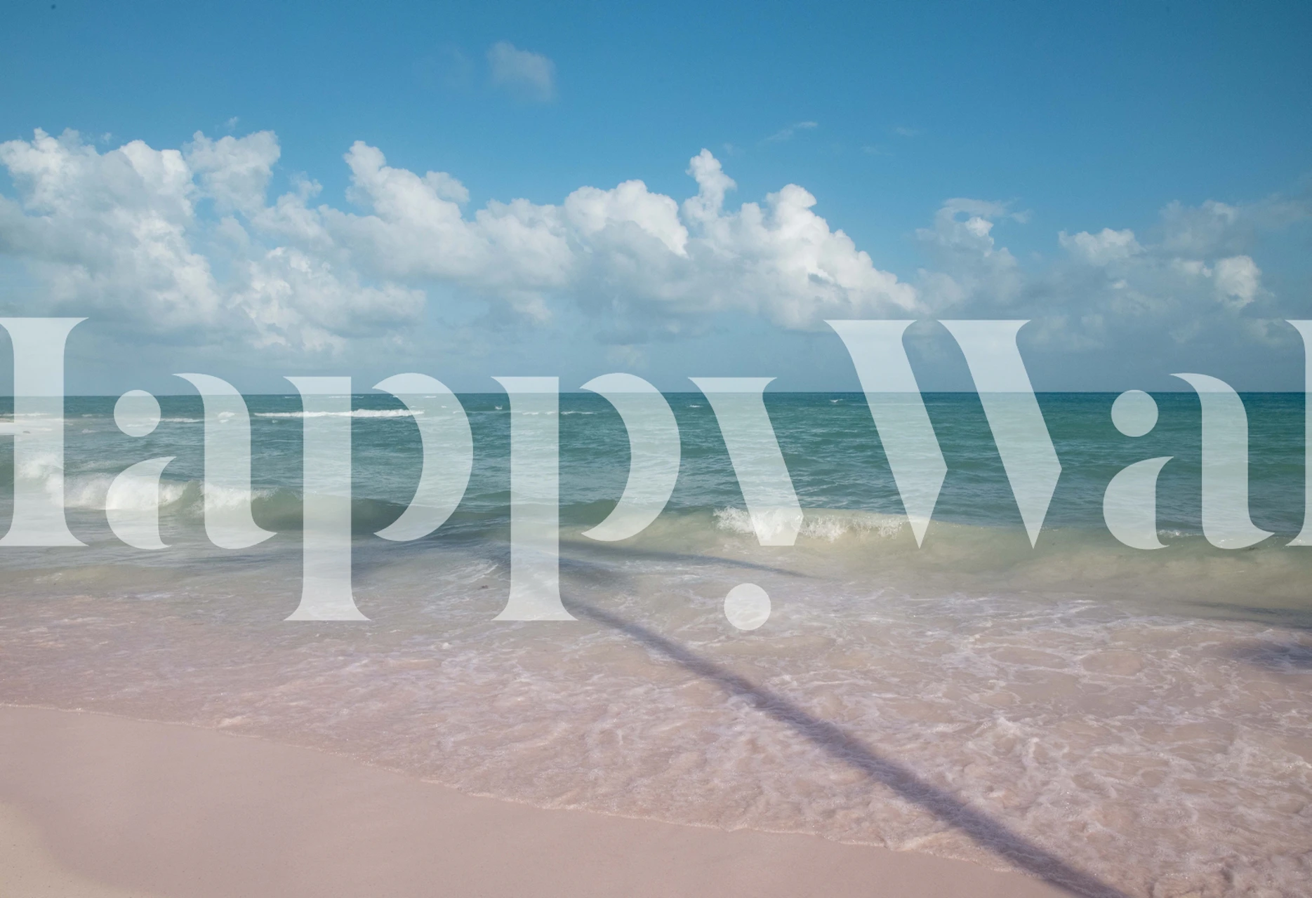 Palm tree reflection wallpaper in a room