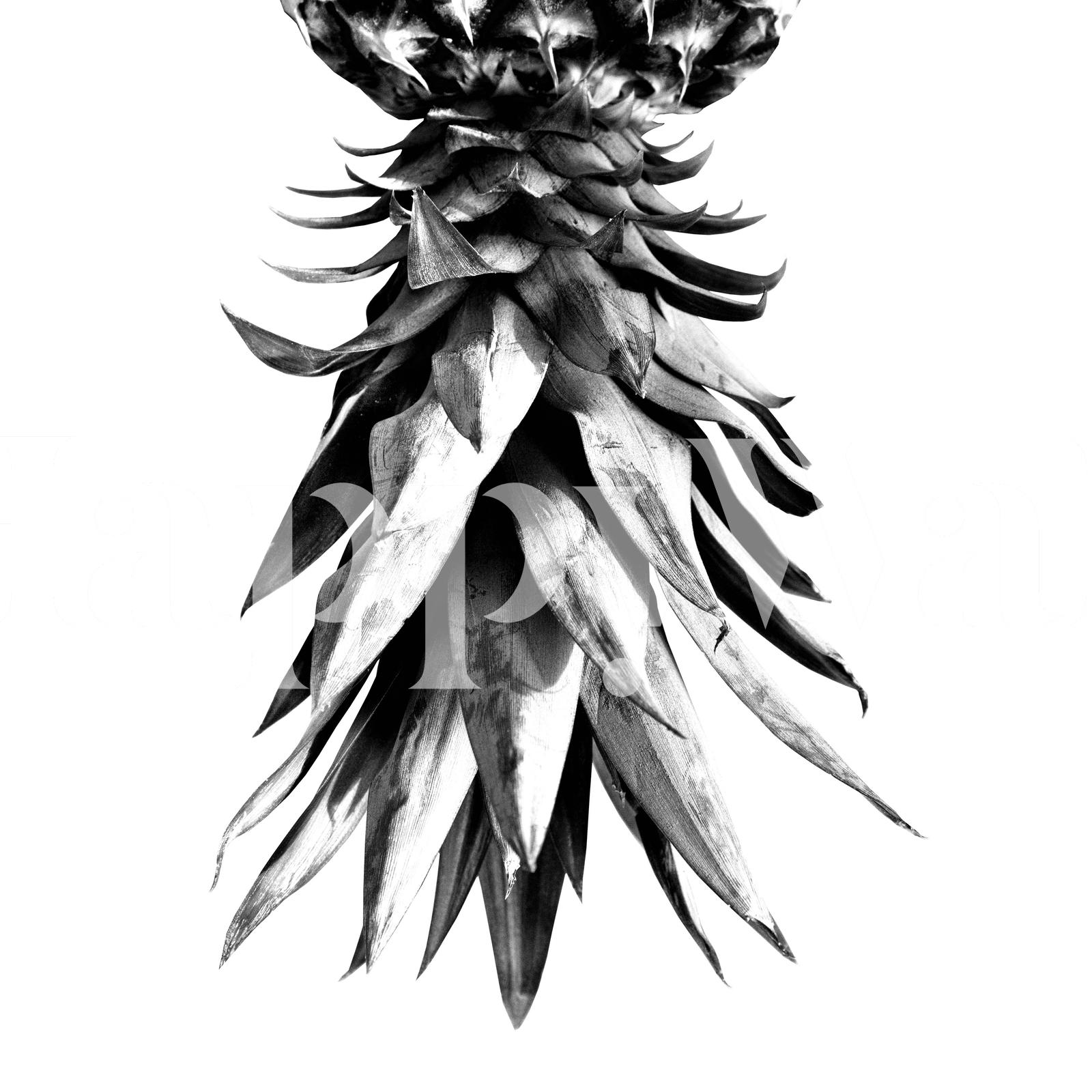 Pineapple Upside Down 1 wallpaper Happywall