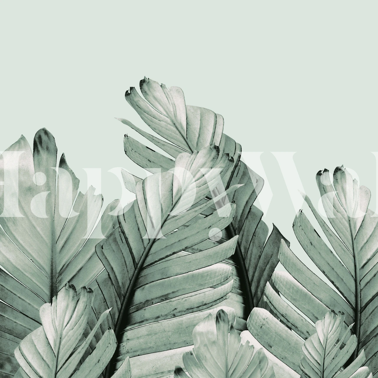 Green Banana Leaves Dream 3 in een kamer