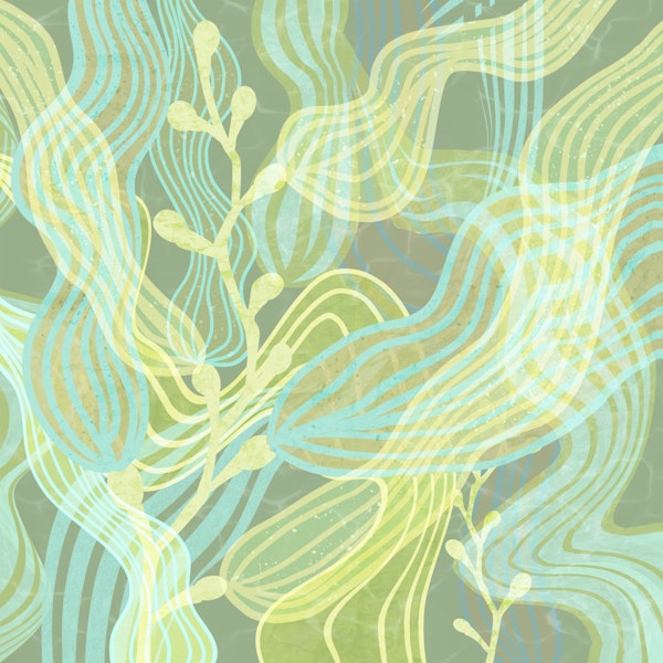 Sea Kelp Forest Square