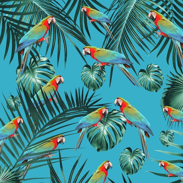 Parrots Tropical Jungle 1