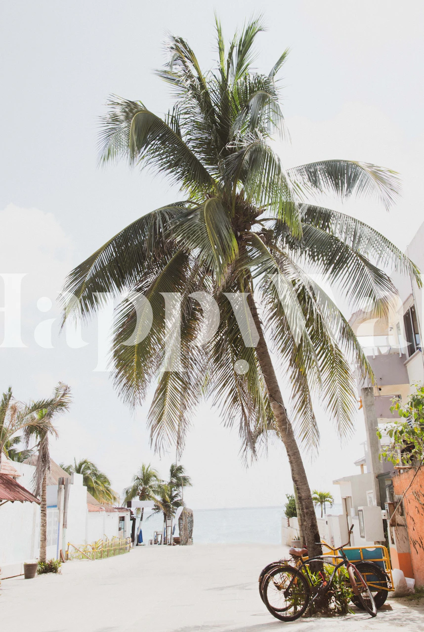 Caribbean Street Vibes tapet i et rum