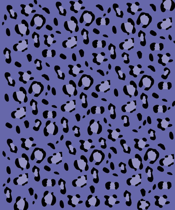 Leopard Animal Print Glam 31