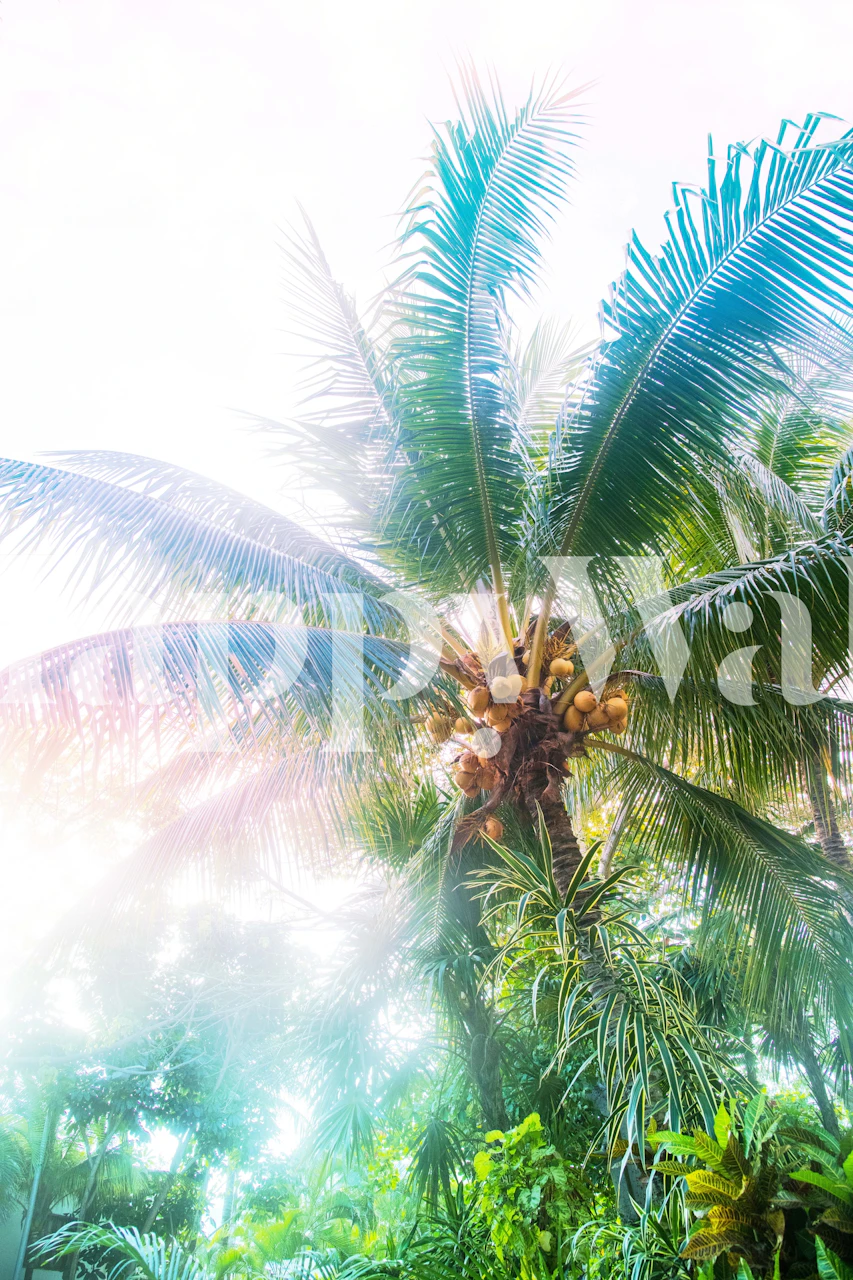 Mexican palm tree tapet i et rom