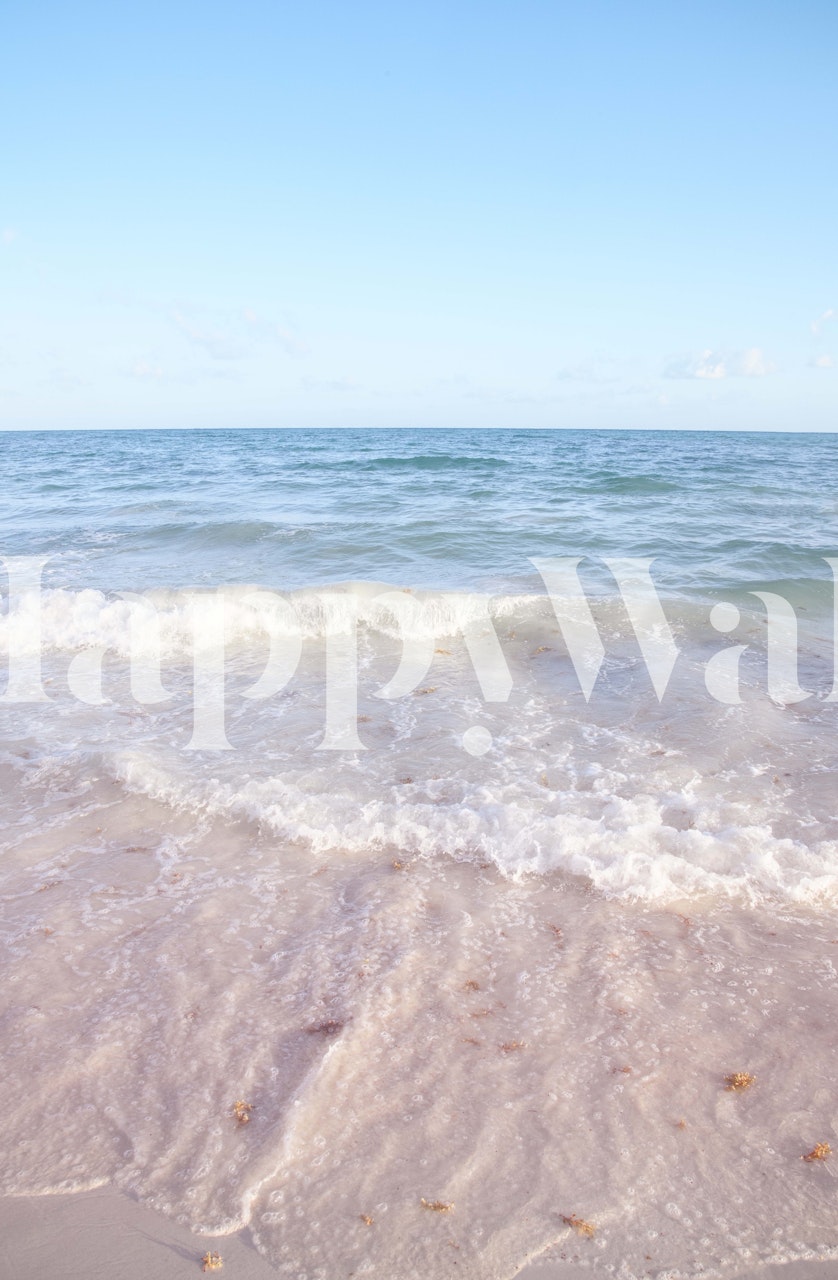 Caribbean Ocean Tranquility tapet i ett rum