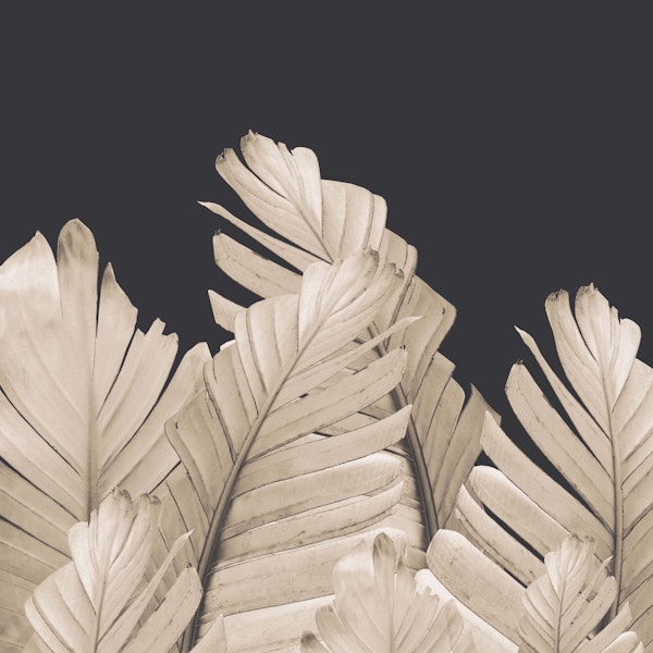 Sepia Banana Leaves 3