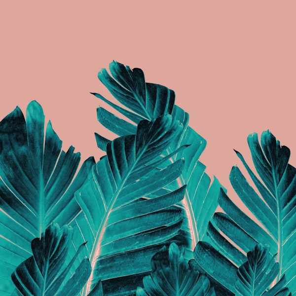 Turquoise Banana Leaves 1