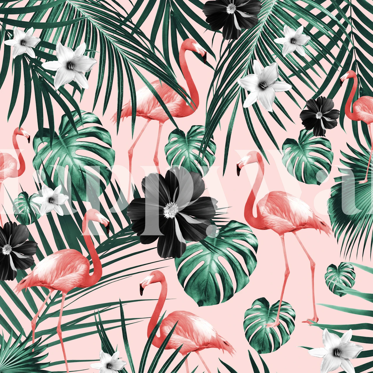 Tropical pink flamingos with green foliage and black flowers on a pink background wall mural